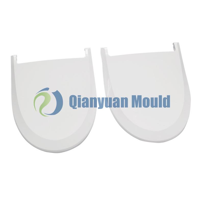 Toilet mould 2