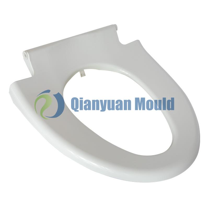 Toilet-mould-5