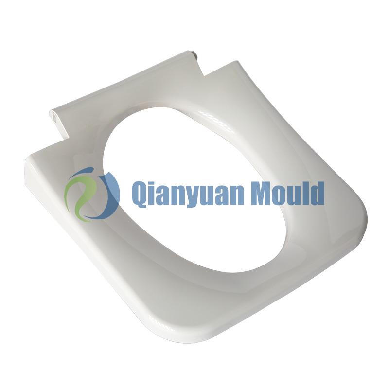 Toilet-mould-6