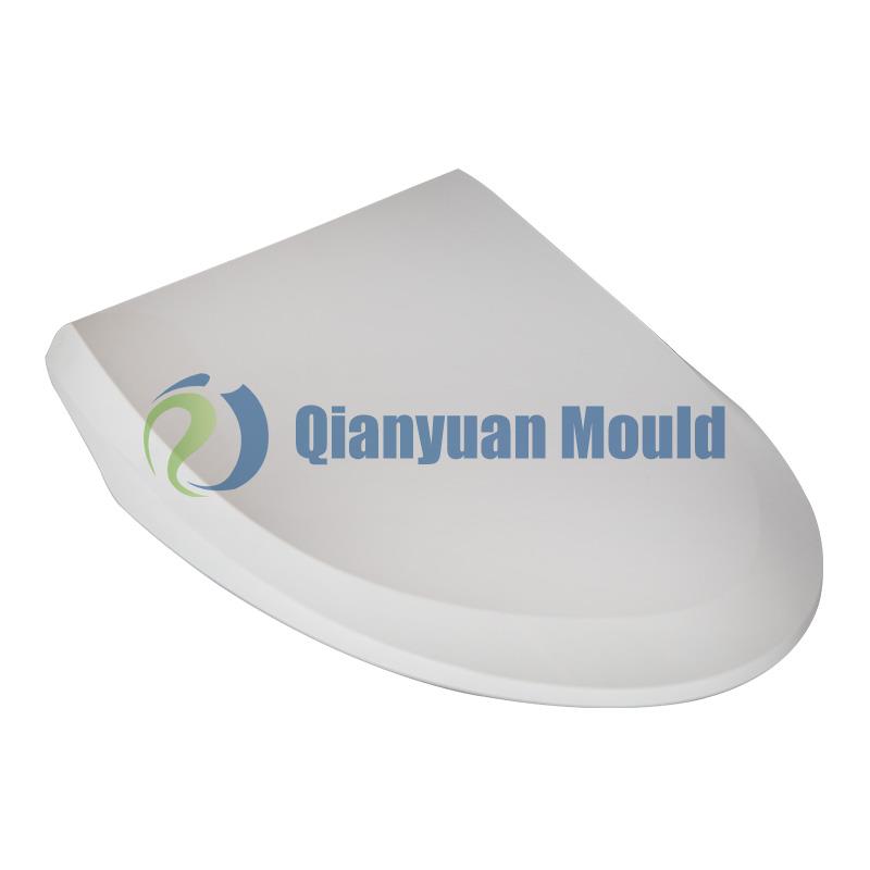 Toilet-mould-4